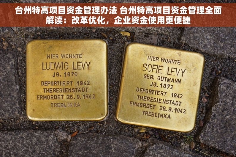 台州特高项目资金管理办法 台州特高项目资金管理全面解读：改革优化，企业资金使用更便捷