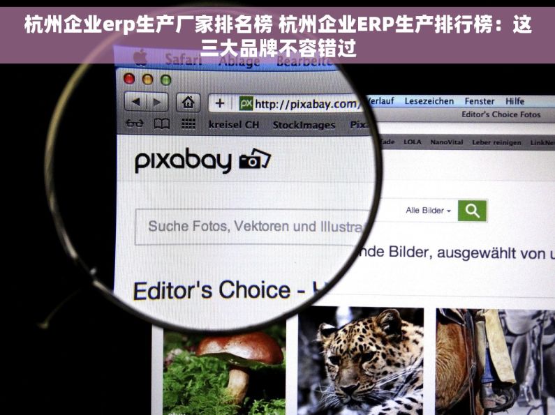 杭州企业erp生产厂家排名榜 杭州企业ERP生产排行榜：这三大品牌不容错过