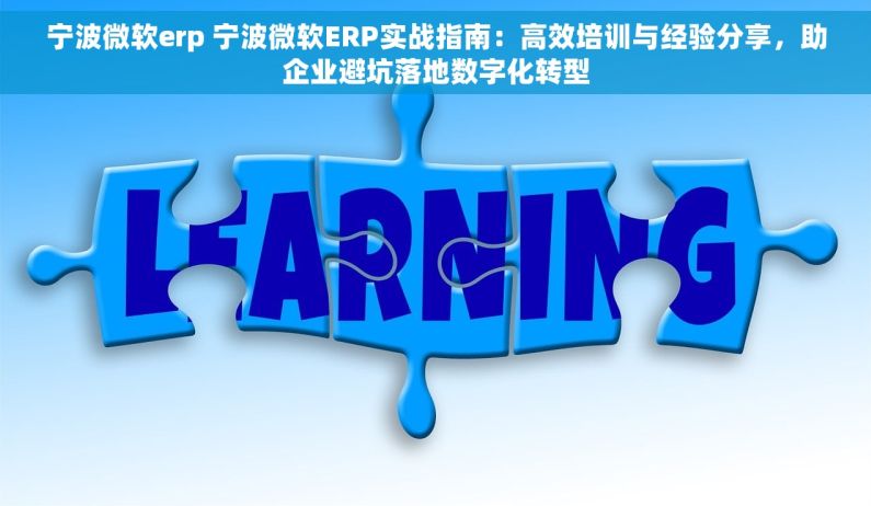 宁波微软erp 宁波微软ERP实战指南：高效培训与经验分享，助企业避坑落地数字化转型