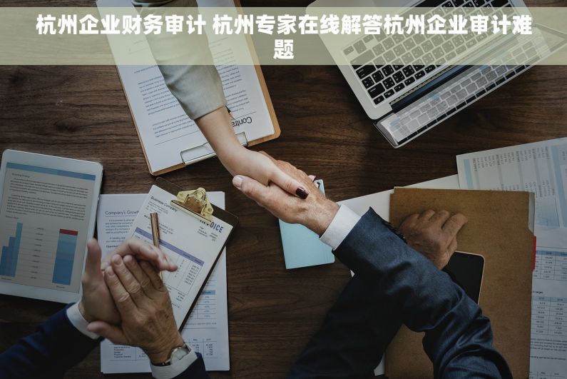 杭州企业财务审计 杭州专家在线解答杭州企业审计难题