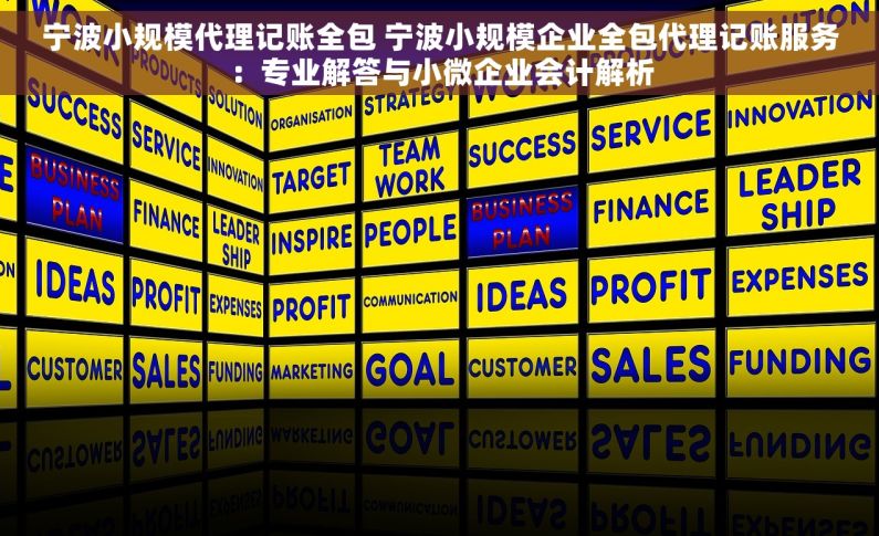 宁波小规模代理记账全包 宁波小规模企业全包代理记账服务：专业解答与小微企业会计解析
