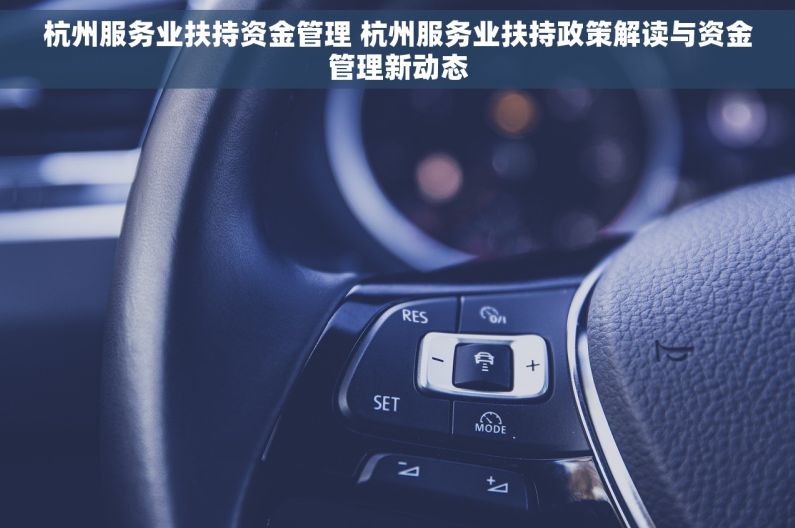 杭州服务业扶持资金管理 杭州服务业扶持政策解读与资金管理新动态