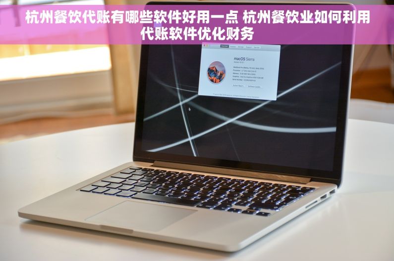 杭州餐饮代账有哪些软件好用一点 杭州餐饮业如何利用代账软件优化财务