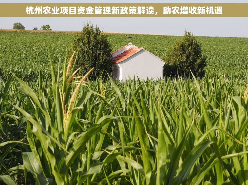 杭州农业项目资金管理新政策解读，助农增收新机遇