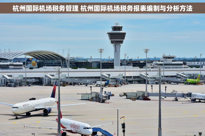 杭州国际机场税务管理 杭州国际机场税务报表编制与分析方法