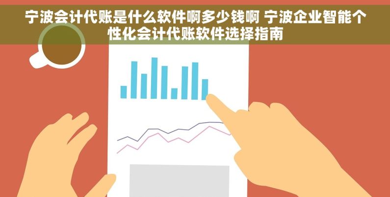 宁波会计代账是什么软件啊多少钱啊 宁波企业智能个性化会计代账软件选择指南