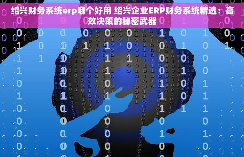 绍兴财务系统erp哪个好用 绍兴企业ERP财务系统精选：高效决策的秘密武器