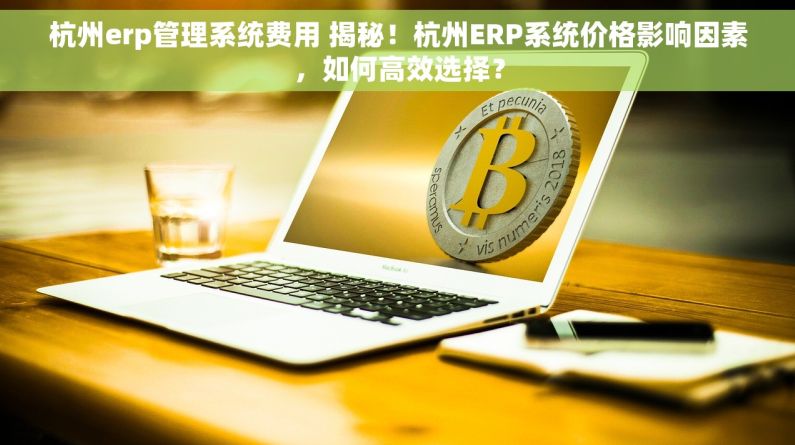 杭州erp管理系统费用 揭秘！杭州ERP系统价格影响因素，如何高效选择？