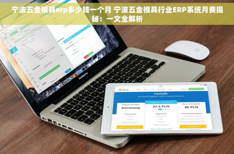宁波五金模具erp多少钱一个月 宁波五金模具行业ERP系统月费揭秘：一文全解析