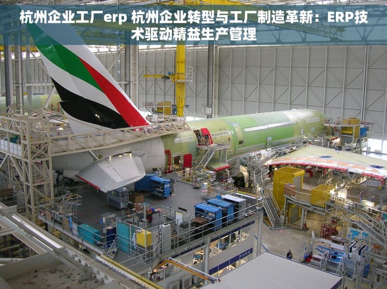 杭州企业工厂erp 杭州企业转型与工厂制造革新：ERP技术驱动精益生产管理