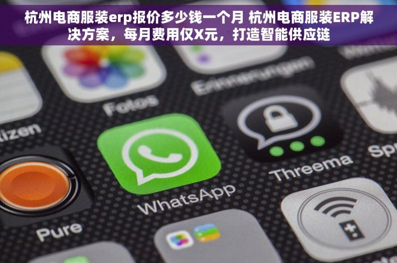 杭州电商服装erp报价多少钱一个月 杭州电商服装ERP解决方案，每月费用仅X元，打造智能供应链