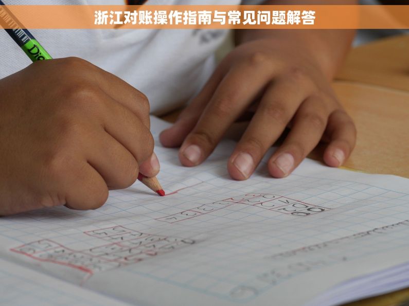 浙江对账操作指南与常见问题解答