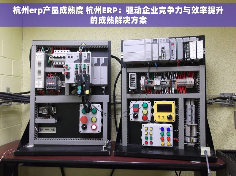 杭州erp产品成熟度 杭州ERP：驱动企业竞争力与效率提升的成熟解决方案