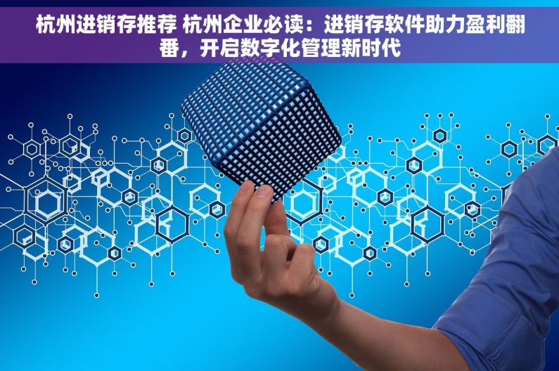杭州进销存推荐 杭州企业必读：进销存软件助力盈利翻番，开启数字化管理新时代