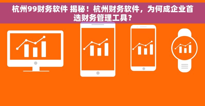 杭州99财务软件 揭秘！杭州财务软件，为何成企业首选财务管理工具？