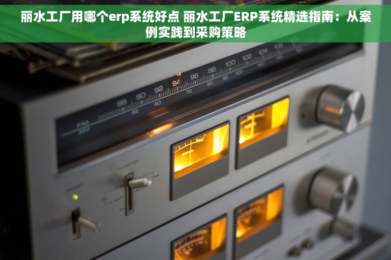 丽水工厂用哪个erp系统好点 丽水工厂ERP系统精选指南：从案例实践到采购策略