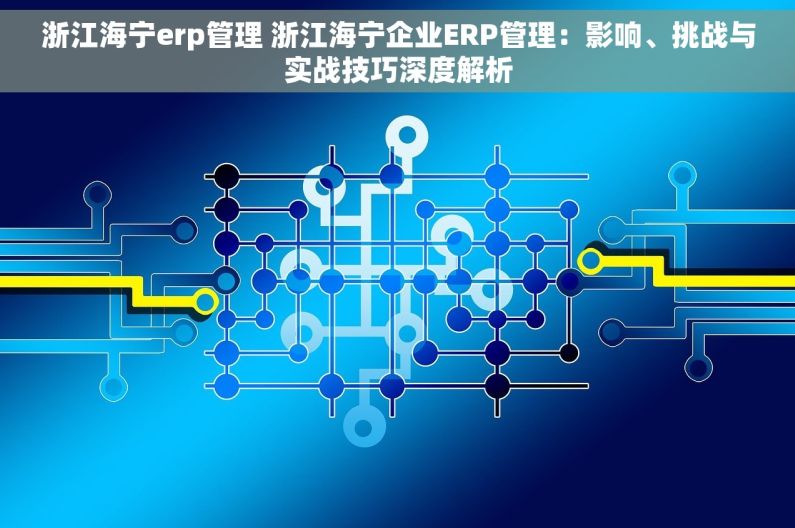 浙江海宁erp管理 浙江海宁企业ERP管理：影响、挑战与实战技巧深度解析