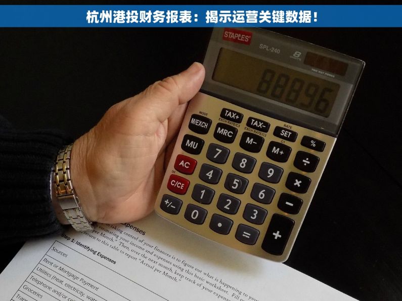 杭州港投财务报表：揭示运营关键数据！