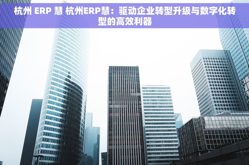杭州 ERP 慧 杭州ERP慧：驱动企业转型升级与数字化转型的高效利器