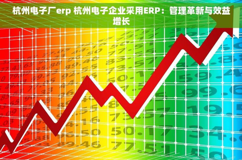 杭州电子厂erp 杭州电子企业采用ERP：管理革新与效益增长