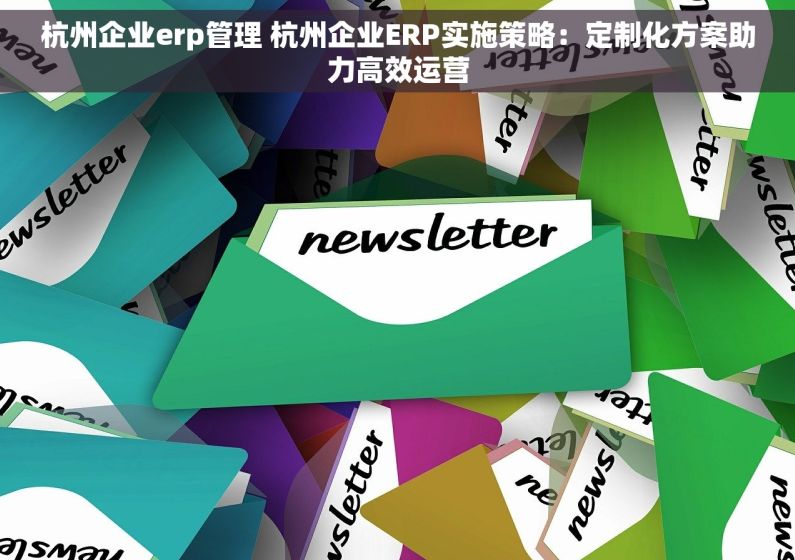 杭州企业erp管理 杭州企业ERP实施策略：定制化方案助力高效运营