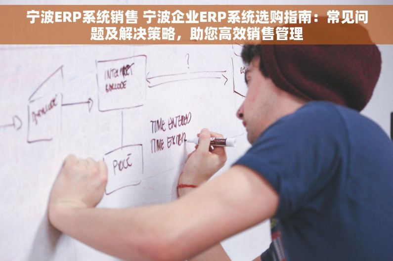 宁波ERP系统销售 宁波企业ERP系统选购指南：常见问题及解决策略，助您高效销售管理
