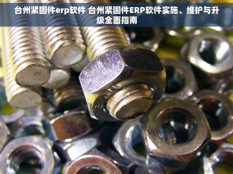 台州紧固件erp软件 台州紧固件ERP软件实施、维护与升级全面指南