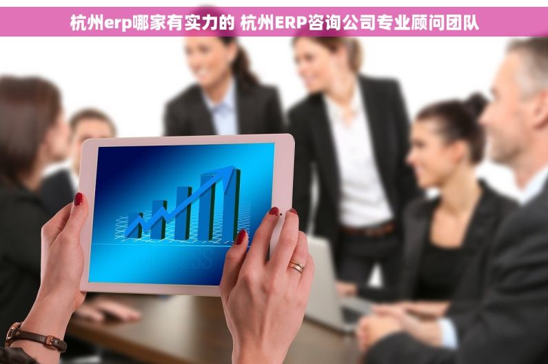 杭州erp哪家有实力的 杭州ERP咨询公司专业顾问团队