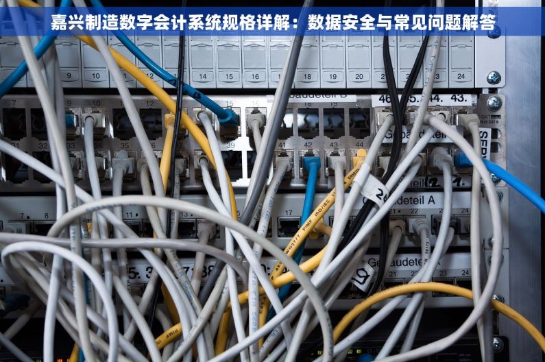 嘉兴制造数字会计系统规格详解：数据安全与常见问题解答
