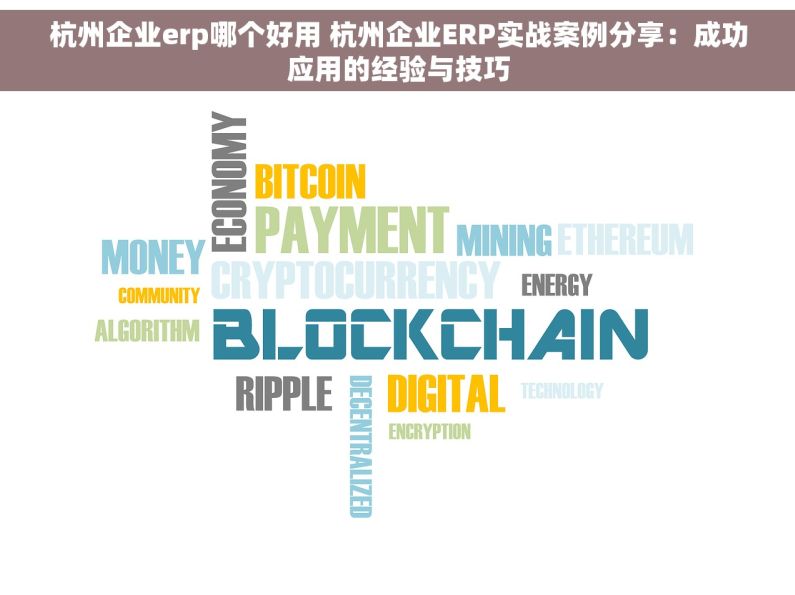杭州企业erp哪个好用 杭州企业ERP实战案例分享：成功应用的经验与技巧
