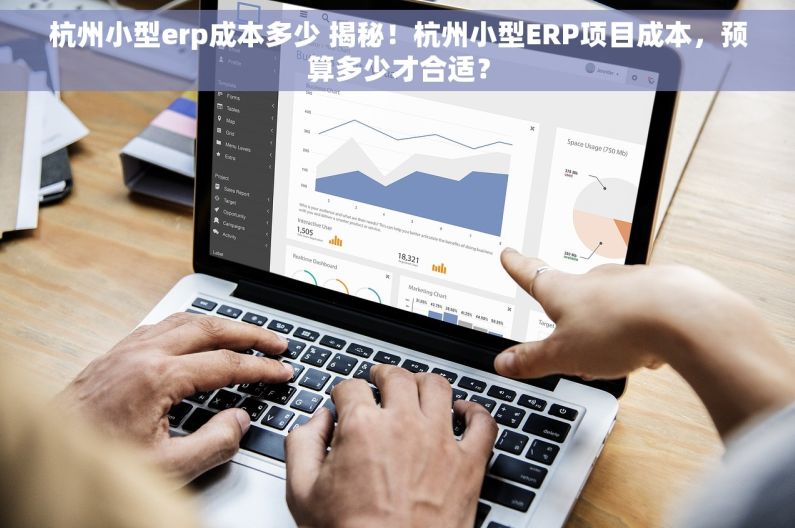 杭州小型erp成本多少 揭秘！杭州小型ERP项目成本，预算多少才合适？