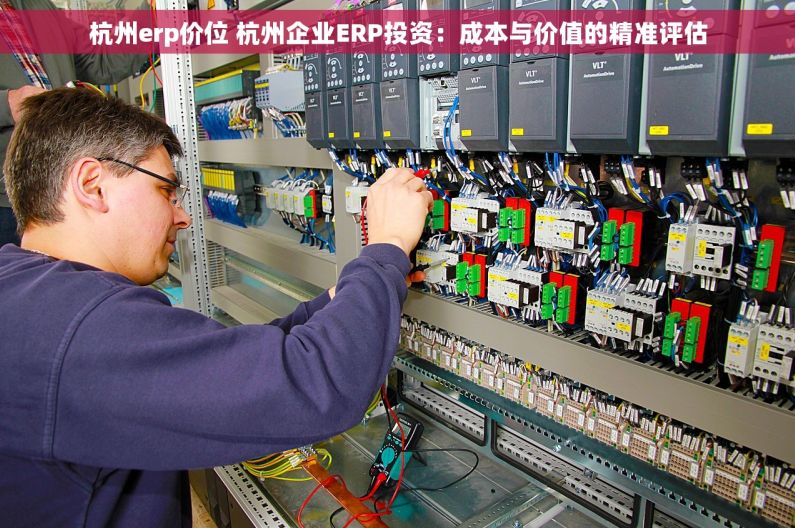 杭州erp价位 杭州企业ERP投资：成本与价值的精准评估