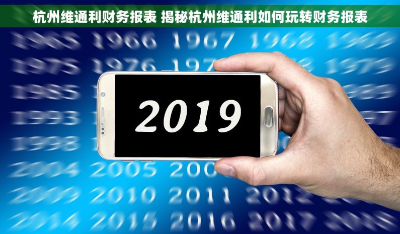 杭州维通利财务报表 揭秘杭州维通利如何玩转财务报表