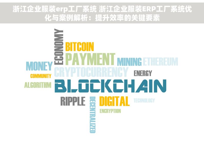 浙江企业服装erp工厂系统 浙江企业服装ERP工厂系统优化与案例解析：提升效率的关键要素