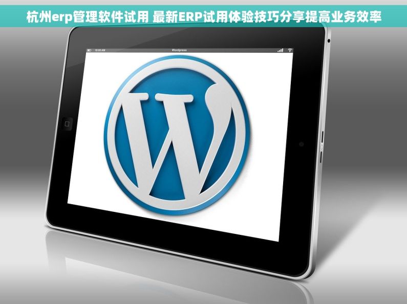 杭州erp管理软件试用 最新ERP试用体验技巧分享提高业务效率