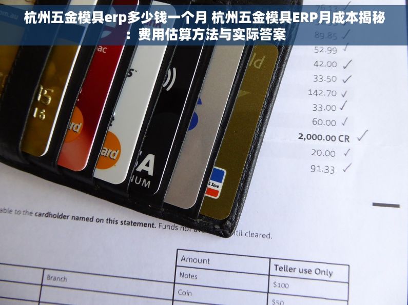 杭州五金模具erp多少钱一个月 杭州五金模具ERP月成本揭秘：费用估算方法与实际答案