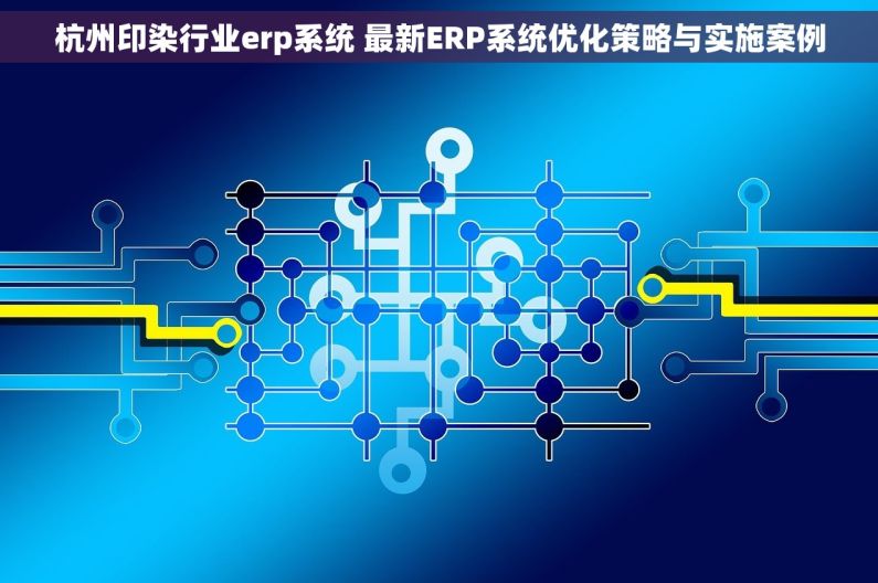 杭州印染行业erp系统 最新ERP系统优化策略与实施案例