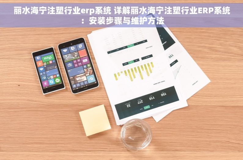 丽水海宁注塑行业erp系统 详解丽水海宁注塑行业ERP系统：安装步骤与维护方法