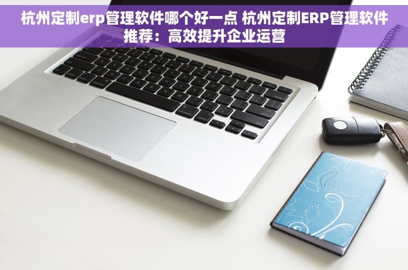 杭州定制erp管理软件哪个好一点 杭州定制ERP管理软件推荐：高效提升企业运营