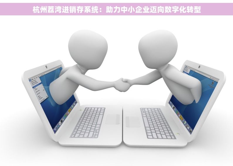 杭州荔湾进销存系统：助力中小企业迈向数字化转型