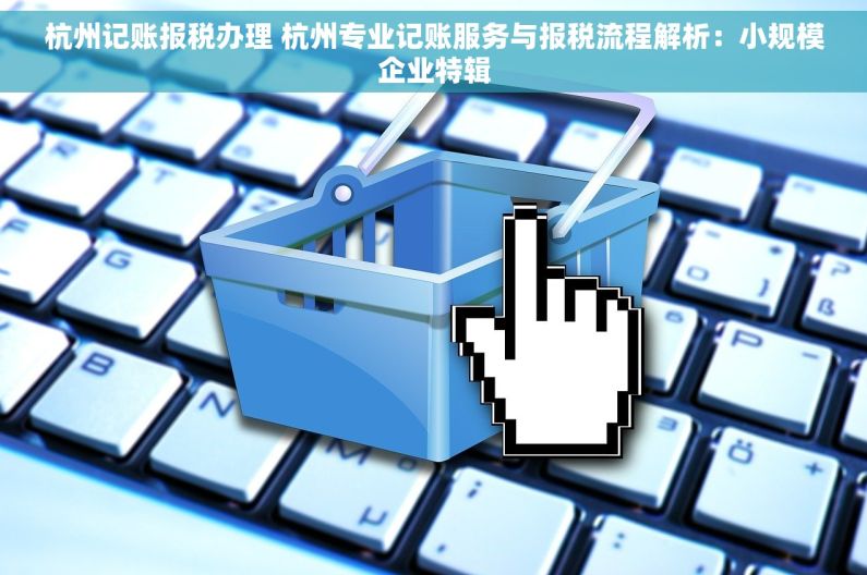 杭州记账报税办理 杭州专业记账服务与报税流程解析：小规模企业特辑