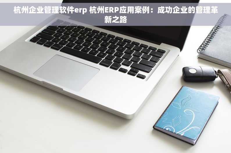 杭州企业管理软件erp 杭州ERP应用案例：成功企业的管理革新之路