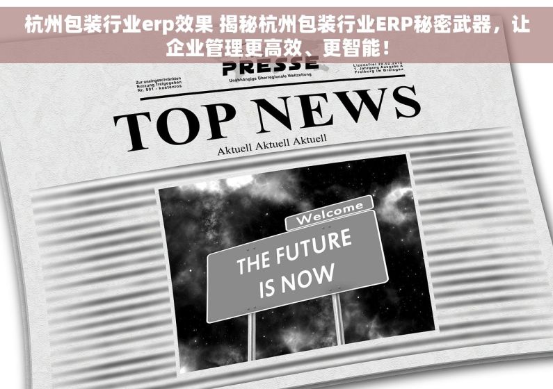 杭州包装行业erp效果 揭秘杭州包装行业ERP秘密武器，让企业管理更高效、更智能！