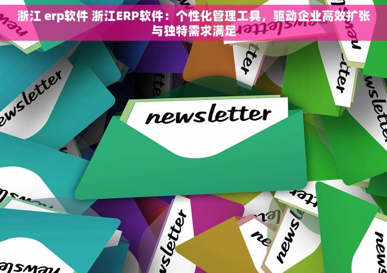 浙江 erp软件 浙江ERP软件：个性化管理工具，驱动企业高效扩张与独特需求满足