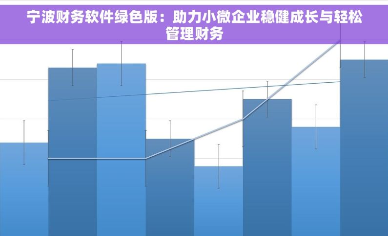 宁波财务软件绿色版：助力小微企业稳健成长与轻松管理财务