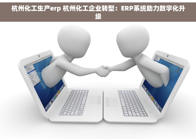 杭州化工生产erp 杭州化工企业转型：ERP系统助力数字化升级