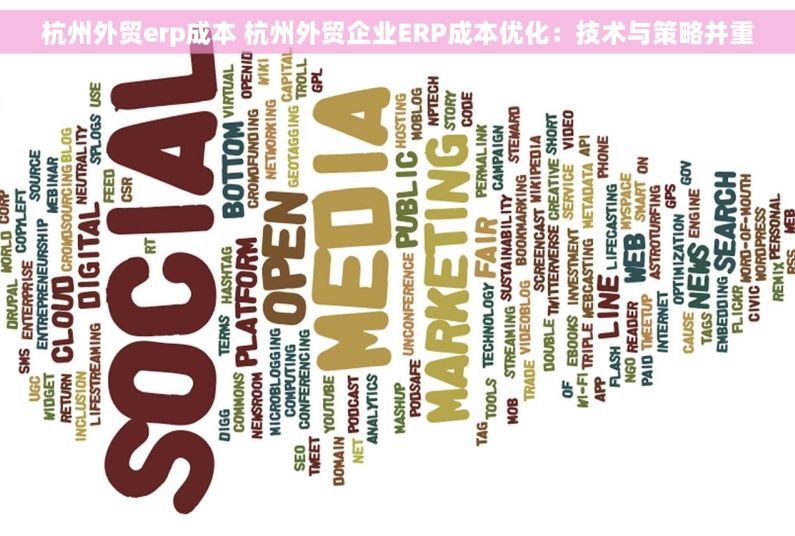 杭州外贸erp成本 杭州外贸企业ERP成本优化：技术与策略并重