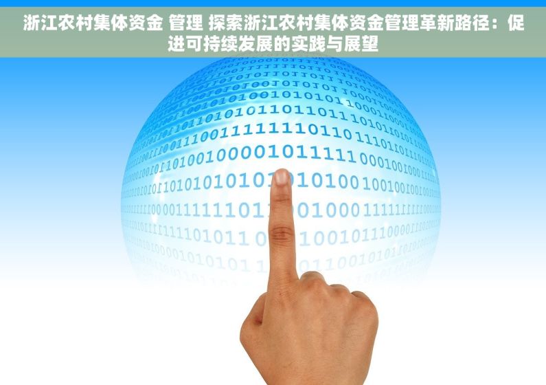 浙江农村集体资金 管理 探索浙江农村集体资金管理革新路径：促进可持续发展的实践与展望
