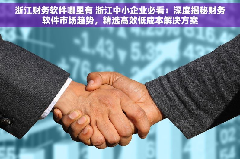 浙江财务软件哪里有 浙江中小企业必看：深度揭秘财务软件市场趋势，精选高效低成本解决方案