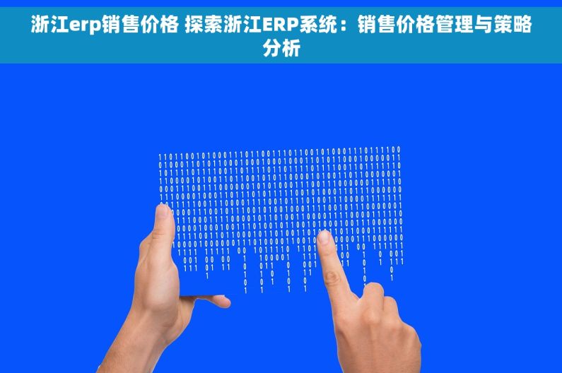 浙江erp销售价格 探索浙江ERP系统：销售价格管理与策略分析